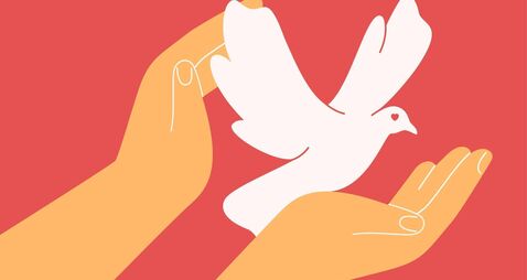 iStock-2263145965.jpg two hands care about dove. White liying pigeon in arms on pink background.vector