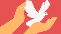 two hands care about dove. White liying pigeon in arms on pink background.vector