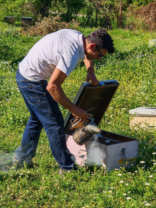 Kostas tending to his hives Kostas tending to his hives