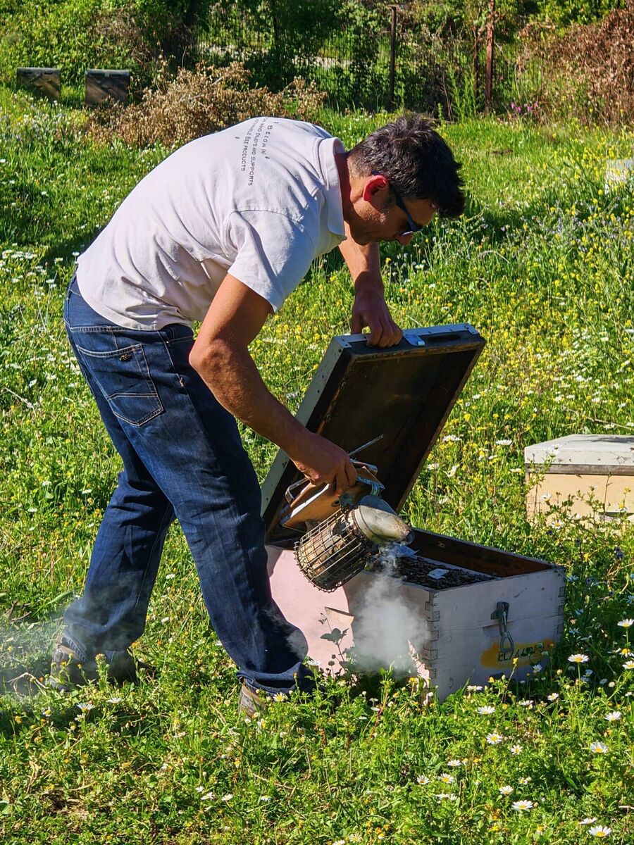 Kostas tending to his hives Kostas tending to his hives