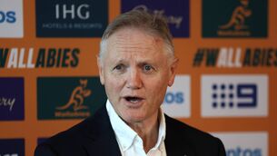 <p>Wallabies head coach Joe Schmidt. Pic: Matt King/Getty Images</p>