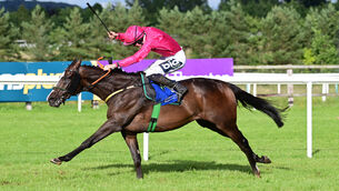 <p>Layfayette and Adam Caffrey won the Irish Stallion Farms EBF Martin Molony Stakes at Limerick. Pic: Healy Racing Photo</p>