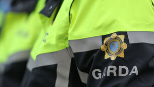 <p>Specialist Garda units, including the SDU, are believed to be supporting local detectives with their investigations. File Picture: Collins</p> <p>Specialist Garda units, including the SDU, are believed to be supporting local detectives with their investigations. File Picture: Collins</p>