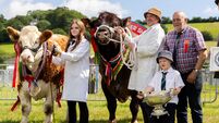 Huge white cow was highlight of Cork Summer Show