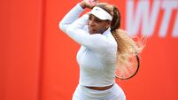 84926207 HSBC Championships - Day Five - The Queen's Club
