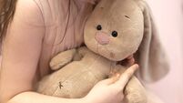 A girl, a brunette of seven years with a plush hare in her hands.