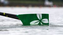 A view of a Rowing Ireland oar 20/9/2022