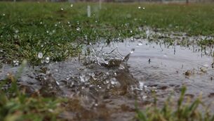 <p>After a dry spell, when rain comes, it provides the ideal conditions for parasites to affect stock. Watch for coughing and loose dung.</p>
