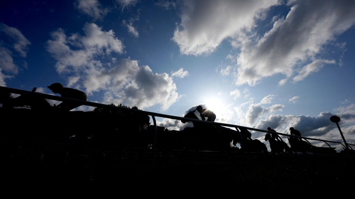 Racing in UK prepares for heatwave with meetings moved