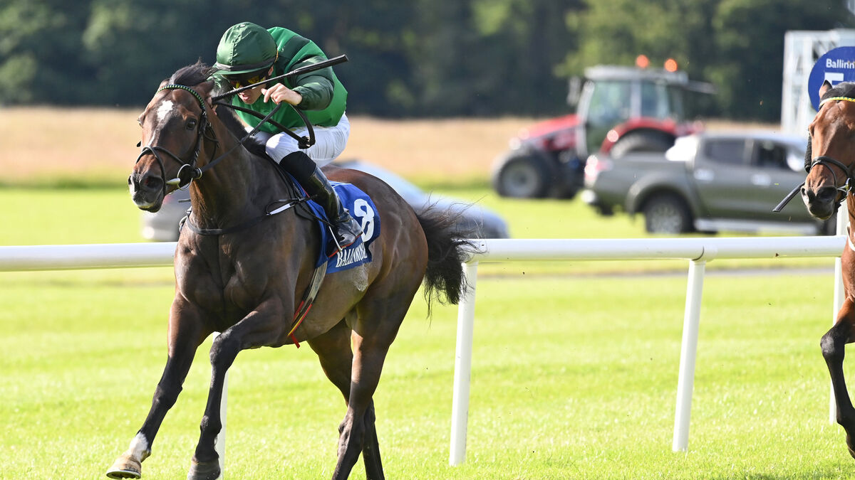 Dylan Browne McMonagle lands Ballinrobe double