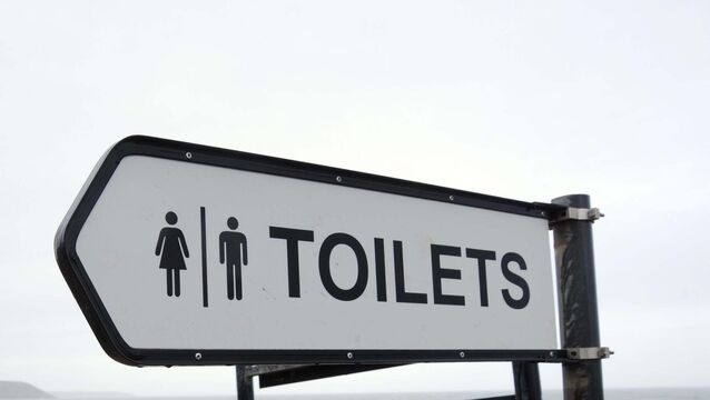 <p>Elderly people and those with mobility issues had difficulty using the public toilets in Ballydehob, councillors heard. File picture: Denis Minihane</p>
