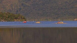 <p>Muckross Rowing Club members take advantage of the calm waters to train on Lough Lein at Killarney National Park. Picture: Valerie O'Sullivan/FREE PIC</p> <p>Muckross Rowing Club members take advantage of the calm waters to train on Lough Lein at Killarney National Park. Picture: Valerie O'Sullivan/FREE PIC</p>