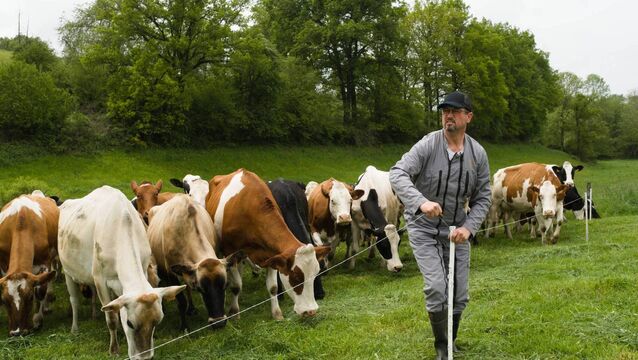 <p>Grass is the major forage for dairy herds in Ireland, and ruminant nutritionist Brian Reidy says we need to make the most of this great growth.</p>