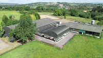 37-acre equestrian centre in Waterford up for sale for €1.7m