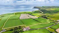 Top quality holding on West Cork coast guiding €14-€17k/acre