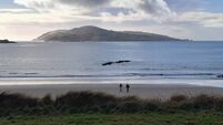 New book tells the remarkable story of Cape Clear Island in West Cork