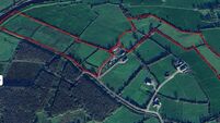 Compact 30-acre Kerry holding seeks €16k/acre