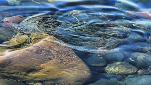 <p>The EPA’s report on water quality in 2025 noted ‘there has been no real improvement in water quality’.	<span class="contextmenu emphasis CaptionCredit">Pictures: iStock</span>
            </p>