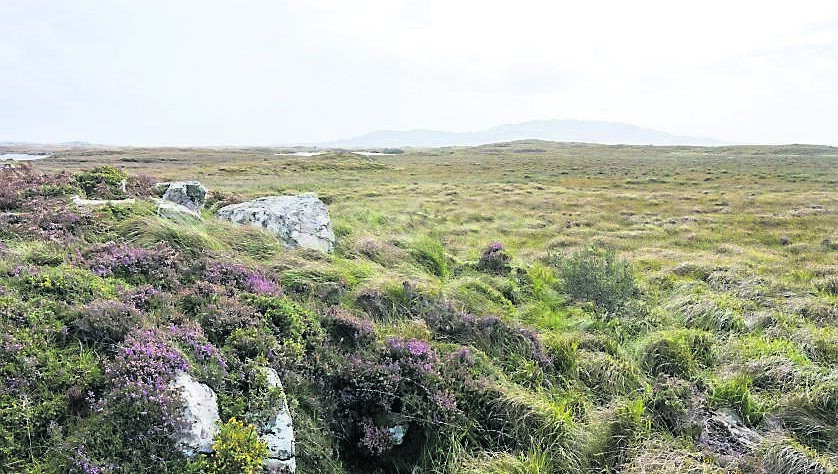 Among the habitats in need of restorative action are bogs and although there are now a number of examples of bog restoration around the country, they are limited in scale. Among the habitats in need of restorative action are bogs and although there are now a number of examples of bog restoration around the country, they are limited in scale.