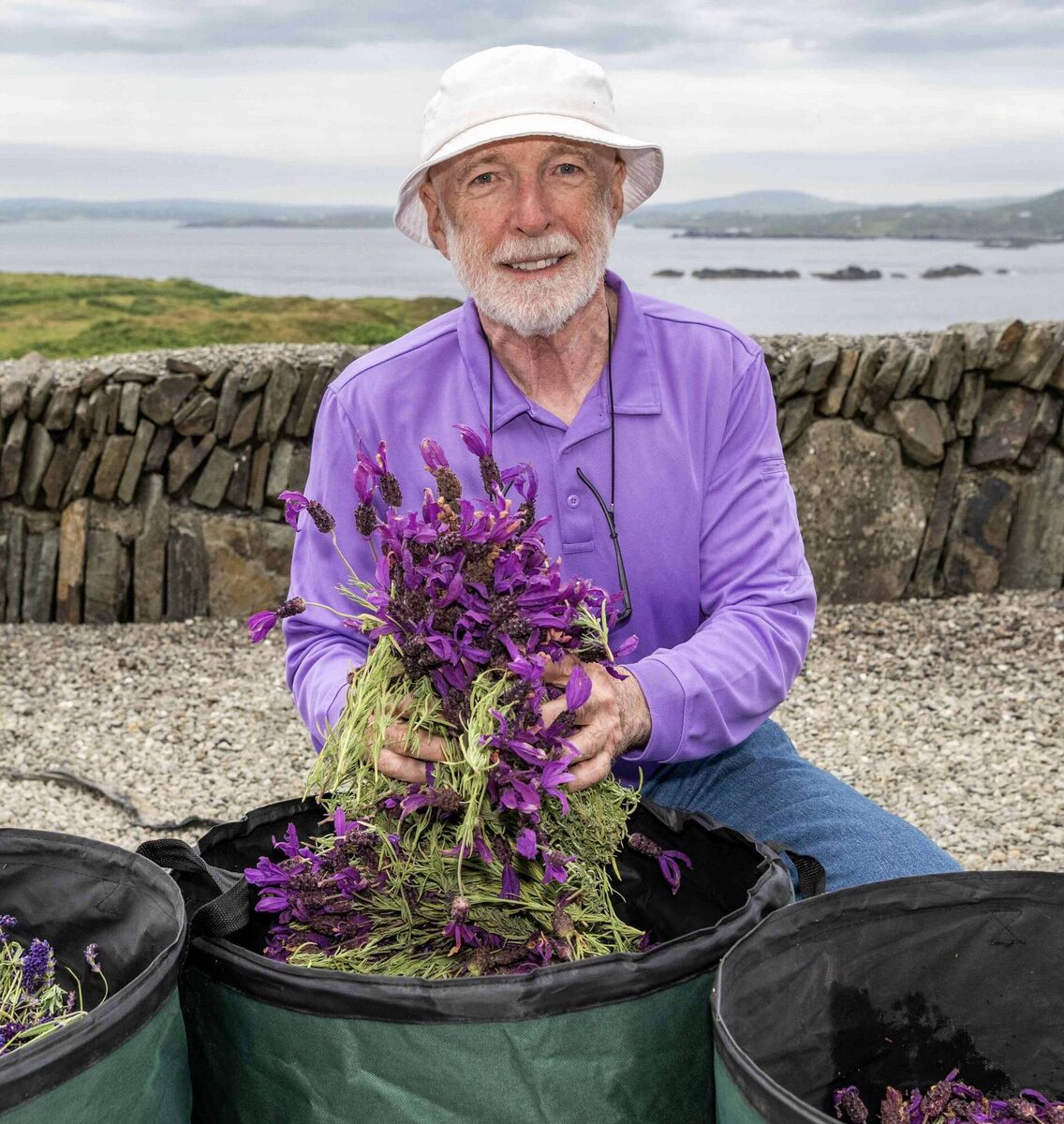 Joe Driscoll, founder of the Cape Clear Lavender Festival. Joe Driscoll, founder of the Cape Clear Lavender Festival.