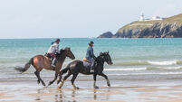 West Cork needs a road to deliver on the region's paradise potential