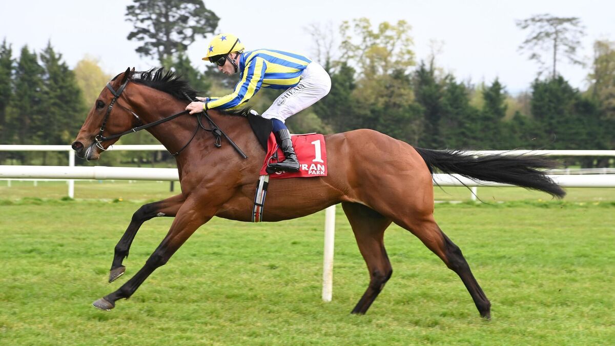 Joseph O’Brien and Go Just Do It expected to triumph in Naas