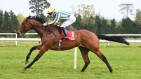 Joseph O’Brien and Go Just Do It expected to triumph in Naas