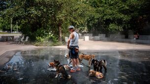 <p>A caring dog sitter cools off dogs in a mist fountain as France experiences extreme heat. Picture: Dimitar DILKOFF / AFP via Getty Images</p> <p>A caring dog sitter cools off dogs in a mist fountain as France experiences extreme heat. Picture: Dimitar DILKOFF / AFP via Getty Images</p>