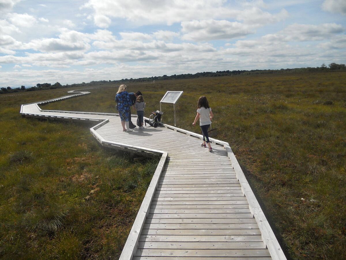 The Clara bog boardwalk, Co Offaly