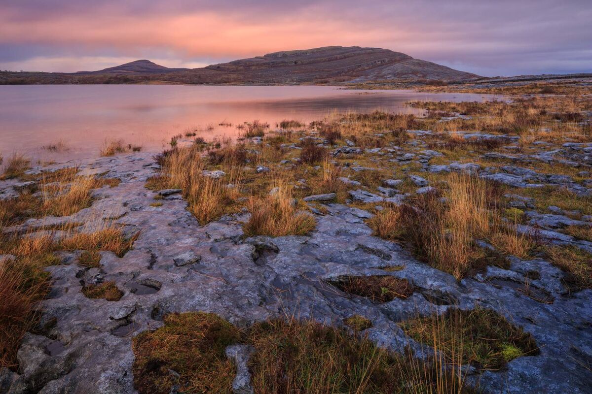 Burren National Park, The Burren, Co Clare.