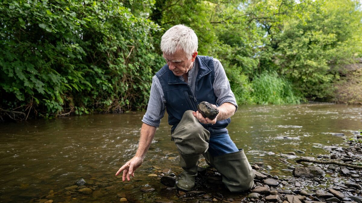 Salmon in crisis: 'There is nothing left in the river'