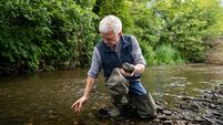 Salmon in crisis: 'There is nothing left in the river'