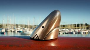<p>The Kinsale Sharks remains one of the most respected and longest-running creative festivals in the world. The 2026 Shark Awards festival in Kinsale runs from September 16 to 18. </p>