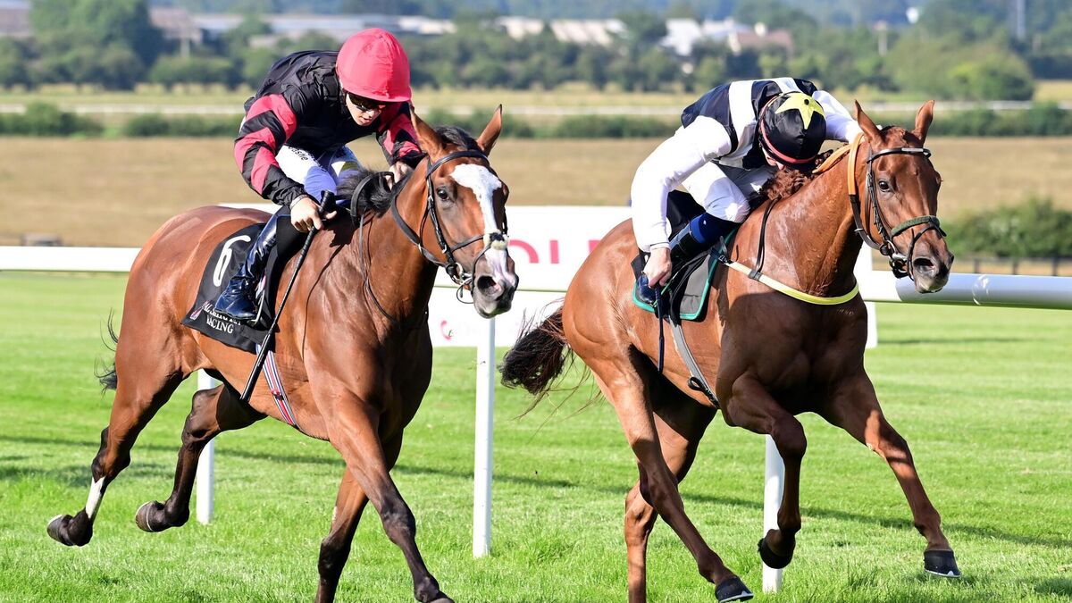 Joseph O’Brien-trained Rebel Moon secures big win in Naas