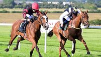 Joseph O’Brien-trained Rebel Moon secures big win in Naas