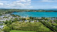 Cork community gardens to be highlighted at national event 