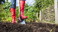 Gardening