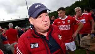 <p>Cork GAA CEO Kevin O'Donovan said keeping manager John Cleary in place has been key in the rise of the county's footballers. Pic: Ramsey Cardy/Sportsfile</p>
