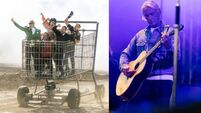 Five For Your Radar: Jackass, Paul Weller, and more... 