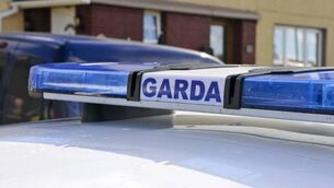 <p>The defendant is charged with two counts of endangerment, specifically that he created a risk of death or serious injury by ramming a garda car in which a garda was sitting. File picture</p>