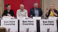Sinn Féin's housing policies based on 'empty rhetoric and soundbites', claims Martin
