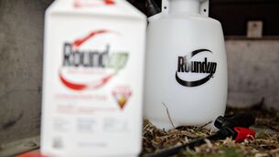 <p>There is still fierce debate about cancer and Roundup’s key ingredient, glyphosate.</p>