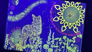 <p>Artwork visible under ultra-violet light features in the new Irish passport (Cillian Sherlock/PA)</p>