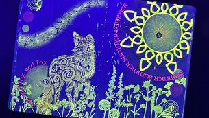 <p>Artwork visible under ultra-violet light features in the new Irish passport (Cillian Sherlock/PA)</p>
