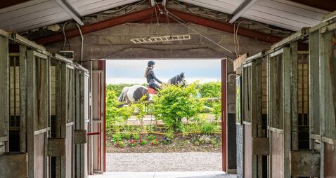A stable living arrangement at €875k Midleton home