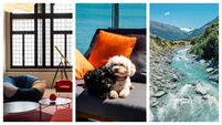 Departure Lounge: Pack your pooch for dog-friendly destinations in Waterford