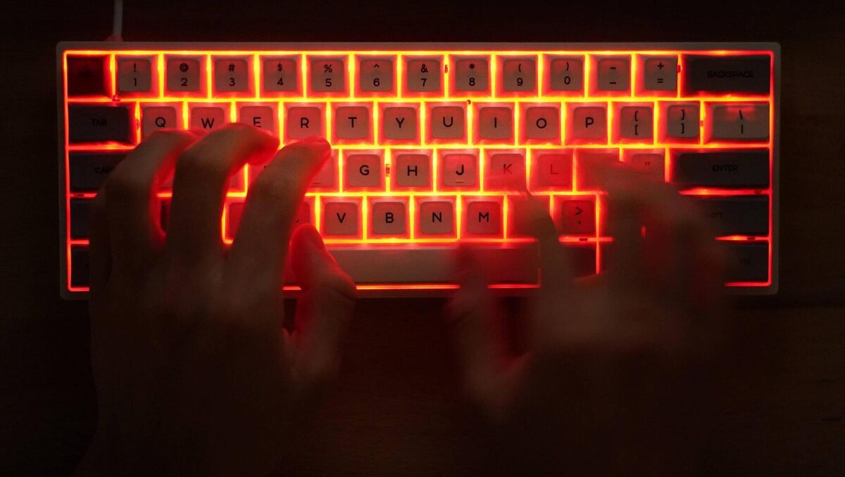 Investment fraudsters are criminals, but they are pros. 'It’s worth taking their time for people to fall for them.' Investment fraudsters are criminals, but they are pros. 'It’s worth taking their time for people to fall for them.'
