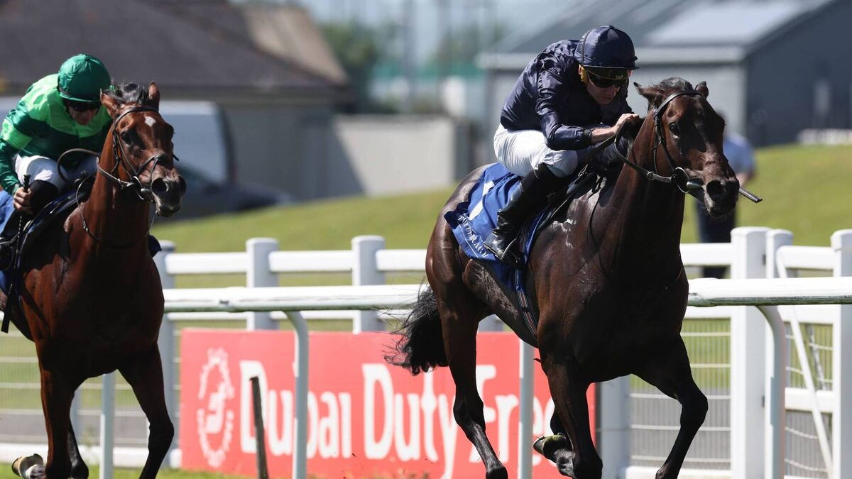 €2.3m Abraham Lincoln makes impressive Curragh debut