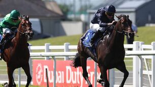 <p>Abraham Lincoln won The Keadeen Hotel Irish EBF Maiden on the first day of the Dubai Duty Free Irish Derby Festival at The Curragh. Pic: Lorraine O'Sullivan </p>