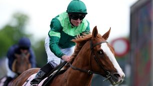 <p>EYES ON THE PRIZE: Benvenuto Cellini can give Aidan O'Brien a record-extending 18th Irish Derby success at the Curragh on Sunday. 	Picture: Martin Rickett/PA </p>